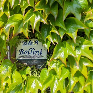 Bellini Bed & Breakfast